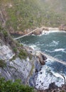 Ecological trail with suspended pedestrian bridges over rocks and bays in Tsitsikama Park