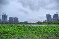 Ecological urban development , lake and lotus