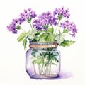 Ecological Watercolor: Purple Flowers In Vintage Jar