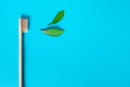 Ecological wooden toothbrush and fresh green leaves on a blue background