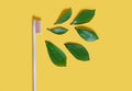 Ecological wooden toothbrush and fresh green leaves on a yellow background