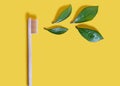 Ecological wooden toothbrush and fresh green leaves on a yellow background