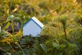 Ecologically clean home. Blank model of house surrounded by greenery of nature. Ecological and conscientious living