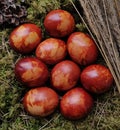 Ecologically colored Easter eggs