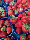 Ecologically Farmed Strawberries in Plastic Packages Royalty Free Stock Photo