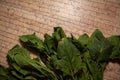 Ecologically pure spinach Royalty Free Stock Photo