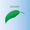 Ecology 4