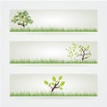 Ecology Banners Set. Eco Style with Green Tree and Grass