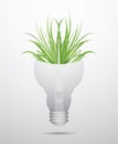 ecology bulb