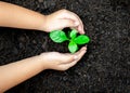 Ecology concept child hands holding plant a tree sapling with on ground world Royalty Free Stock Photo