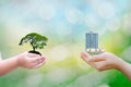 Ecology concept child human hands holding big plant tree building with on blurred background