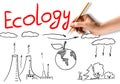 Ecology Concept Royalty Free Stock Photo