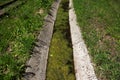 Ecology concept. Dirty water in storm drains covered with blooming algae. Royalty Free Stock Photo