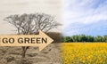 Ecology concept go green change tree forest drought and forest Royalty Free Stock Photo