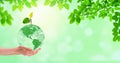 Hand holding green planet earth globe with green trees in background. Royalty Free Stock Photo