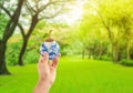 Hand holding green sprout tree growth on blue planet earth with green natural in background. Royalty Free Stock Photo