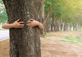 Ecology concept Hand man hug tree love forests trees Royalty Free Stock Photo