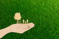 Ecology concept human hands holding big plant tree family