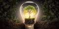 Ecology concept with tree growing inside light bulb with AI generated. Royalty Free Stock Photo