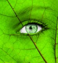 Ecology conceptual image with green human eye