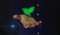 Ecology and eco friendly technology symbol over hand