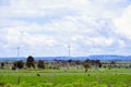 Ecology electric energy wind farm at gujarat, India