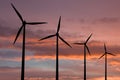 Ecology energy farm with wind turbine