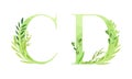 Ecology english alphabet letters. Green leaves font. C,D letters cartoon vector illustration