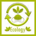 ecology and environment card