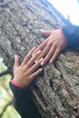 Woman hugging a big tree in a park. Royalty Free Stock Photo