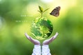 Ecology and Environment Earth. Planet and tree with butterfly in human hands over green nature ecology, Save the earth concept,