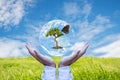 Ecology and Environment Earth. Planet and tree with butterfly in human hands over green and sky nature