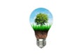 Green tree growth thru brown soil and green grass in light bulb isolated on white background. Royalty Free Stock Photo