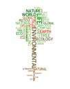 Ecology - environmental poster