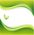 Ecology Green Background