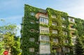 Ecology and green living in the city. Royalty Free Stock Photo