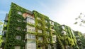 Ecology and green living in the city. Royalty Free Stock Photo