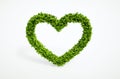 Ecology heart symbol