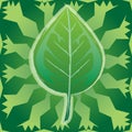 Ecology-Leaf