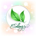 Ecology leafs frame template logo design vector