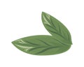 ecology leafs plant green nature icons