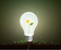 Ecology light bulb concept, realistic light bulb growing on soil with yellow flower inside, eco energy concept,