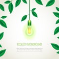 Ecology light bulb growing up.