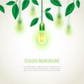 Ecology light bulb growing up.