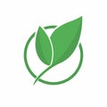 Ecology logo. Abstract eco green leaf symbol, icon. Eco friendly concept for company logo, bio and organic food Royalty Free Stock Photo