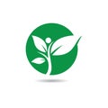Ecology logo vector icon Royalty Free Stock Photo