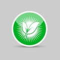 Ecology logos of green leaf nature element icon on white background . illustrator