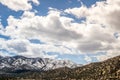 Ecology Park Temple Canyon Canon City Colorado Royalty Free Stock Photo