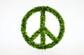 Ecology peace symbol with white background Royalty Free Stock Photo