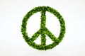 Ecology peace symbol with white background